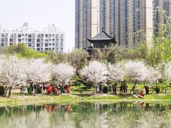 -堤角公园