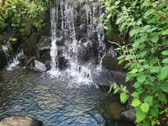 -藏龙百瀑风景区