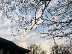 -紫金山山顶公园