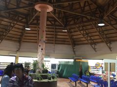 -长滩岛登岛码头