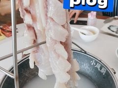千层鱼锅-小凤厨顺德鱼坊·经典千层鱼(祈福店)