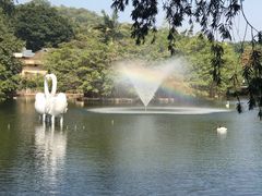 -深圳野生动物园