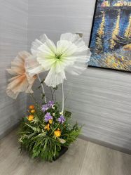 -武汉五洲整形外科医院