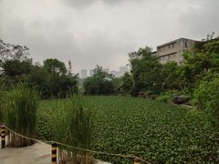 -广西壮族自治区药用植物园