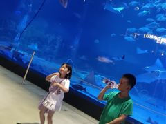 -烟台海昌鲸鲨海洋公园