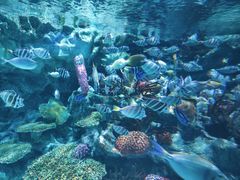 -海合安成都极地海洋公园