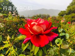 -国家植物园