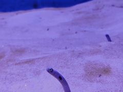 -厦门海底世界