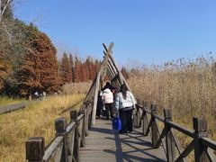 -溱湖国家湿地公园