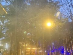-朴小妹人参鸡汤火锅(长白山万达店)
