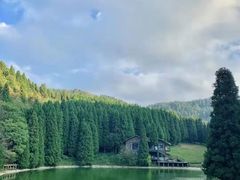 -武陵山森林公园