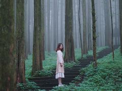 -武陵山森林公园