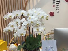 -子曰书院·古筝围棋书法国画小主持(夏都店)
