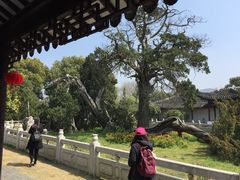 -司徒庙