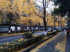 -四川大学(望江校区)