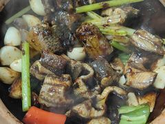 生啫金边花鳝-天宝食坊·啫啫煲大排档(西华路店)