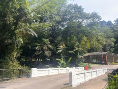 -槟城植物园