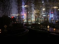 -罗斯福色戒酒吧(外滩店)