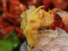 -香满锅老北京羊蝎子火锅·家常菜(新街口店)