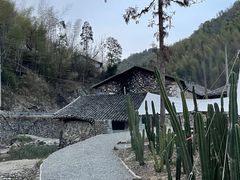 -MOJ coffee(瓯海泽雅水碓坑店)