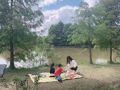 -上海海湾国家森林公园