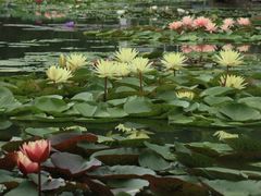 -国家植物园南园