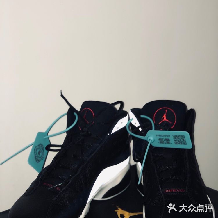 🐼Wow是超酷的反转熊猫！