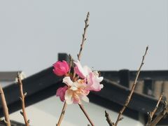 -成都院坝精品私汤民宿酒店