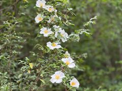 -敬亭山风景名胜区