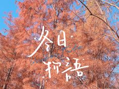 -福道