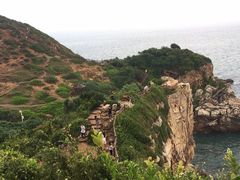 -杨梅坑