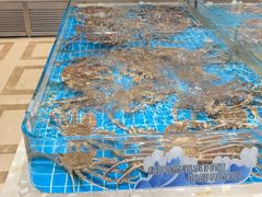 -新丁香海鲜酒店(银海商贸城店)