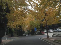 -蓝堡俱乐部