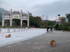-天坛大佛