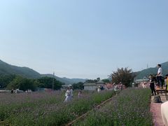 -玫瑰海岸文化旅游度假区