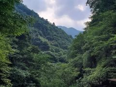 -山沟沟景区