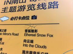 -南山植物园
