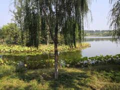 -东郊湿地公园