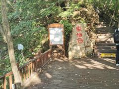-天女山森林公园