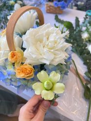 -baby bella小贝拉母婴护理中心(珠海华发公寓店)
