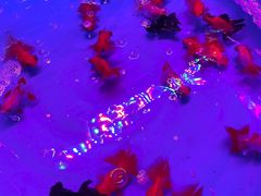 -华声天桥民俗文化园