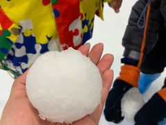 -Mr·Kuma酷么先生雪之乐园