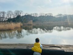 -西湖风景区-江洋畈生态公园