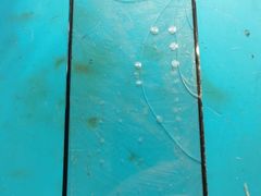 -铭修苹果华为手机平板维修服务(杨浦区店)