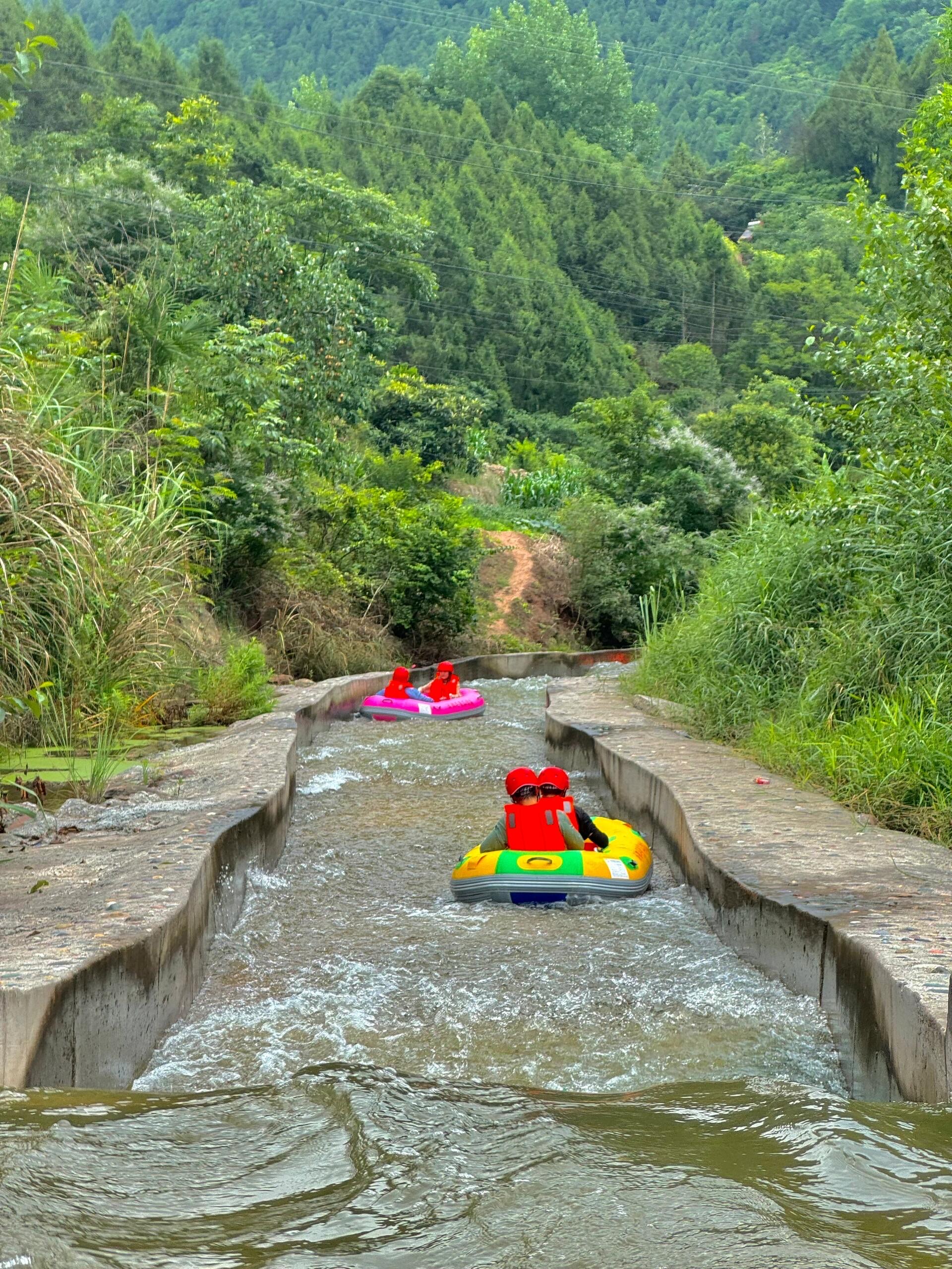 漫山花溪谷漂流图片