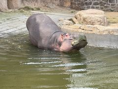 -沈阳森林动物园
