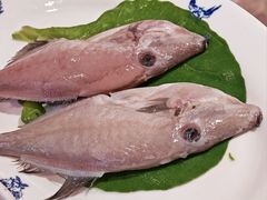 -龙森园火锅(琴台路店)