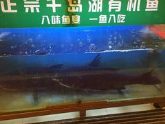 -昌正春天酒店-海鲜餐厅