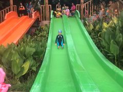 -苏州乐园森林水世界