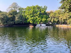 -荔湾湖公园